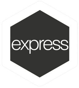 Express js logo